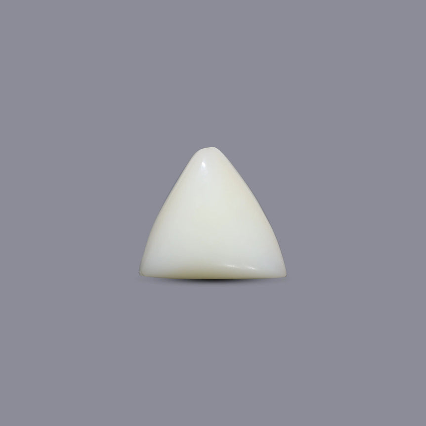 White Coral - 5.6 Carat