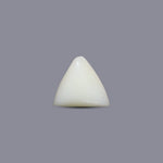 White Coral - 5.6 Carat