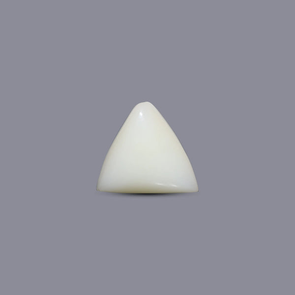White Coral - 5.6 Carat
