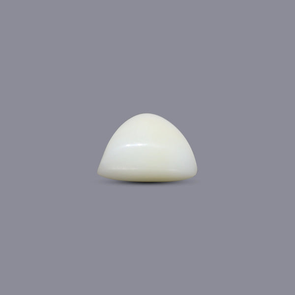 White Coral - 5.6 Carat