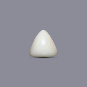 Italian White Coral - 13.85 Carat - Pramogh