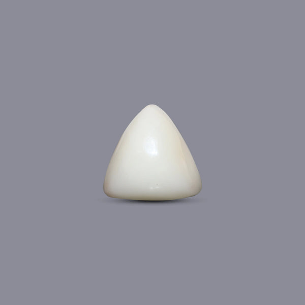 Italian White Coral - 13.85 Carat - Pramogh