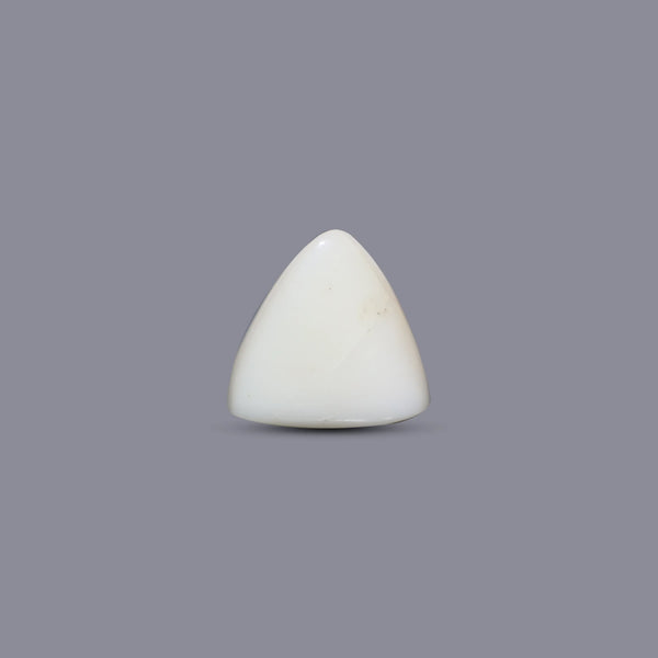 White Coral - 13.85 Carat