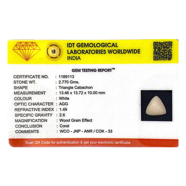 White Coral - 13.85 Carat