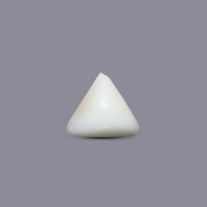 Italian White Coral - 7.2 Carat - Pramogh