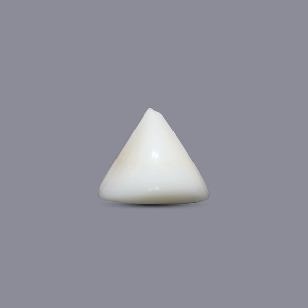 Italian White Coral - 7.2 Carat - Pramogh