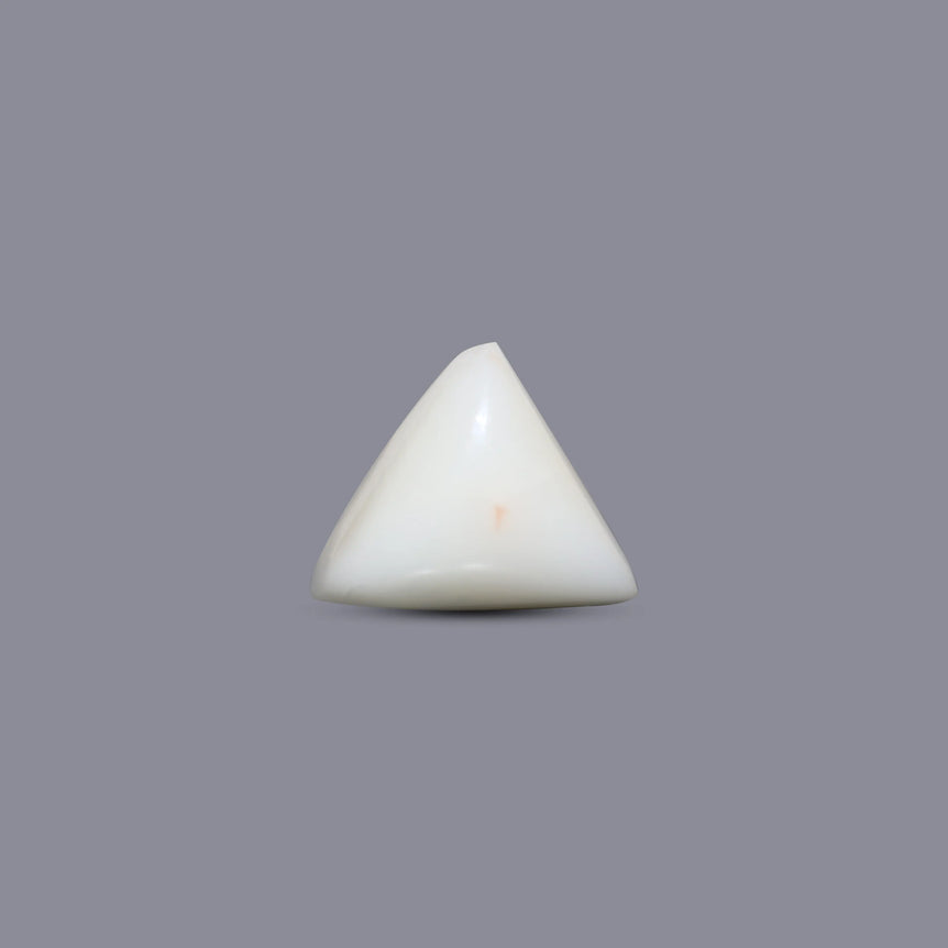 White Coral - 7.2 Carat