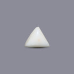 White Coral - 7.2 Carat