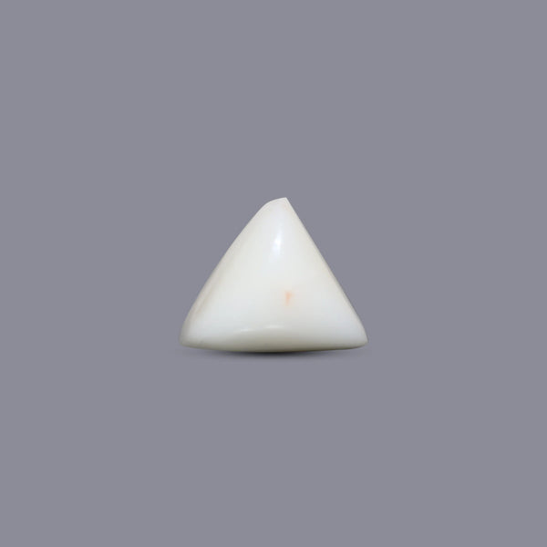 White Coral - 7.2 Carat