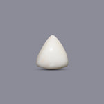 Italian White Coral - 9.6 Carat - Pramogh