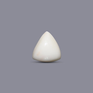 Italian White Coral - 9.6 Carat - Pramogh