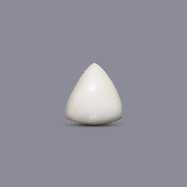 Italian White Coral - 9.6 Carat - Pramogh