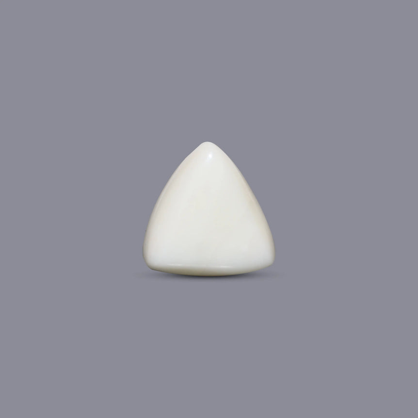 White Coral - 9.6 Carat