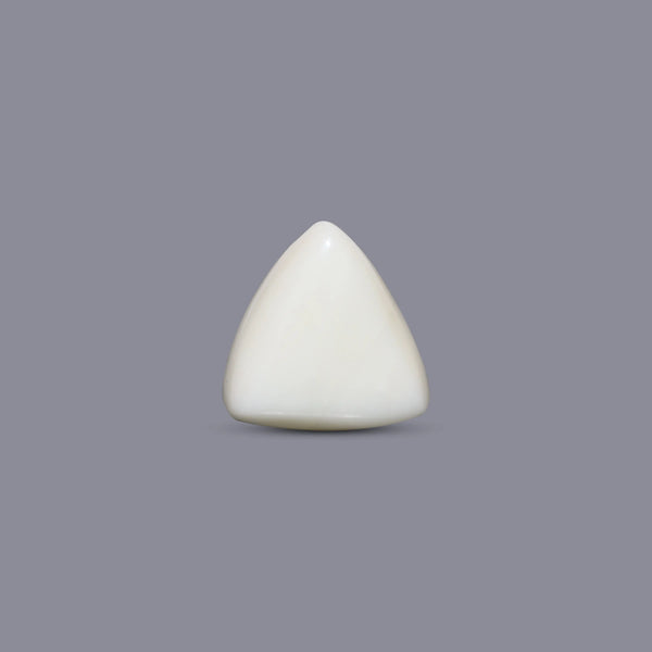 White Coral - 9.6 Carat