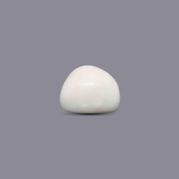 White Coral - 9.6 Carat