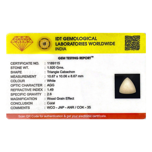 White Coral - 9.6 Carat