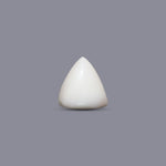 Italian White Coral - 5.4 Carat - Pramogh