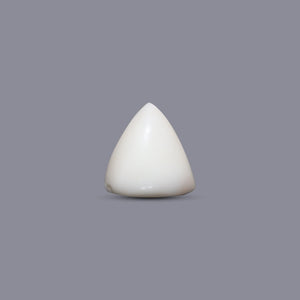 Italian White Coral - 5.4 Carat - Pramogh
