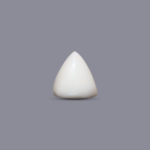 Italian White Coral - 5.4 Carat - Pramogh