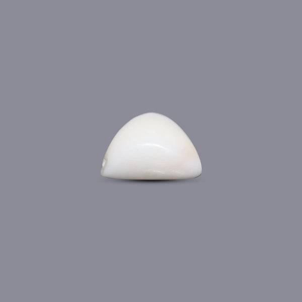 White Coral - 5.4 Carat