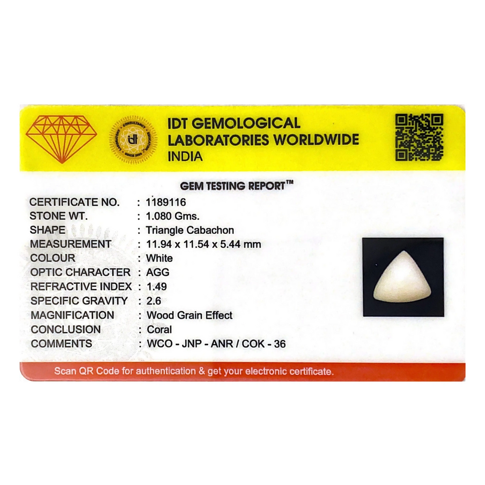 White Coral - 5.4 Carat