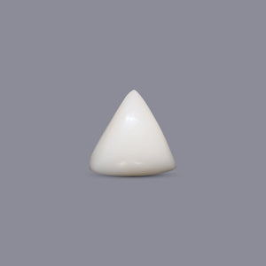 Italian White Coral - 7.65 Carat - Pramogh