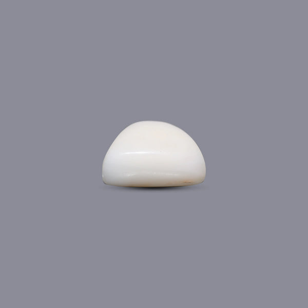 White Coral - 7.65 Carat