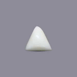 Italian White Coral - 4.83 Carat - Pramogh