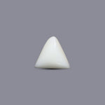 White Coral - 4.83 Carat