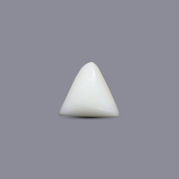 White Coral - 4.83 Carat
