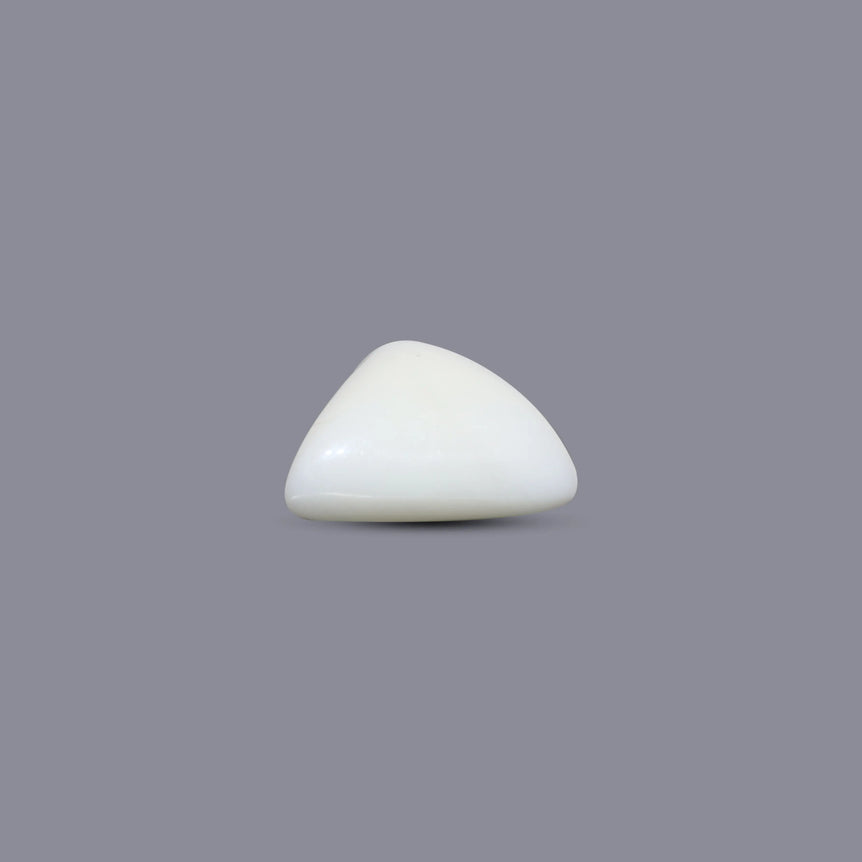 White Coral - 4.83 Carat