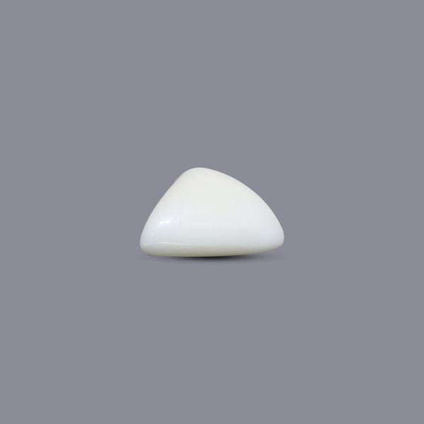 White Coral - 4.83 Carat