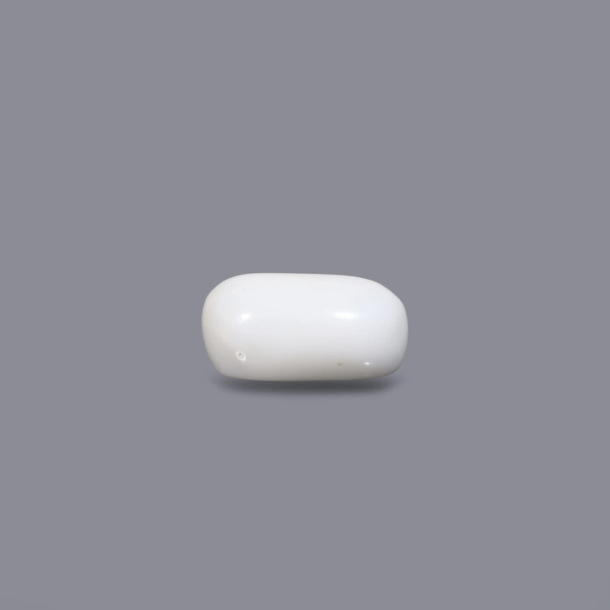 White Coral - 3.6 Carat