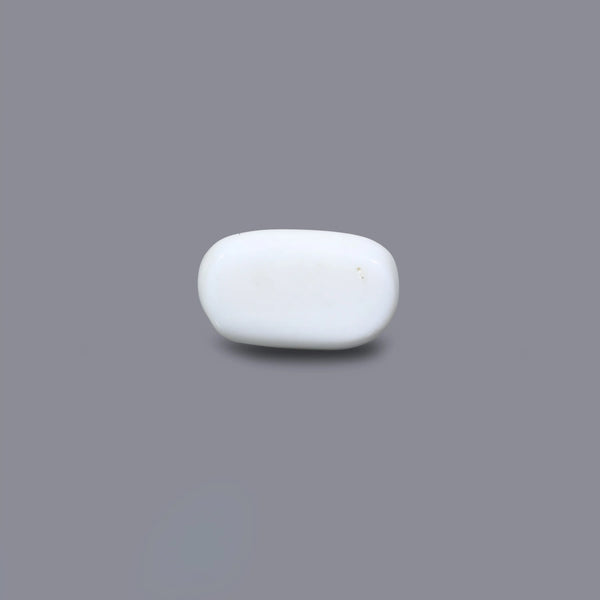 White Coral - 2.8 Carat