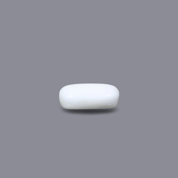 White Coral - 2.8 Carat