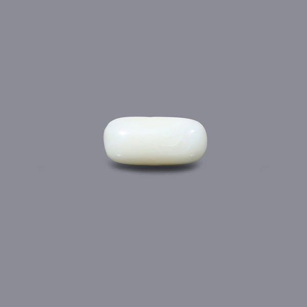White Coral - 4.2 Carat - Pramogh