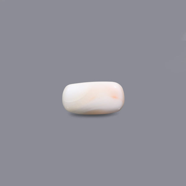 White Coral - 4.85 Carat