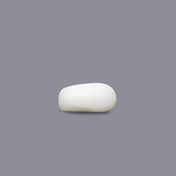 White Coral - 3.95 Carat