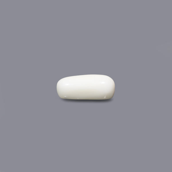 White Coral - 3.8 Carat