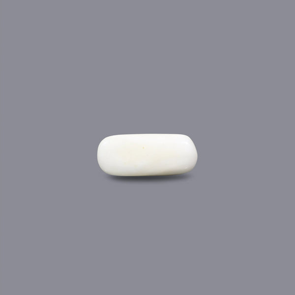 White Coral - 5.4 Carat