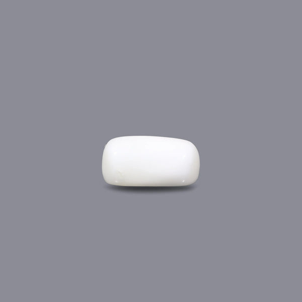 White Coral - 3.8 Carat