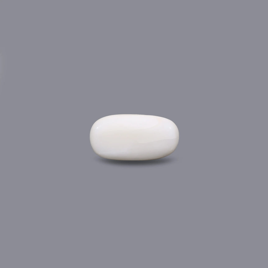 White Coral - 5.6 Carat