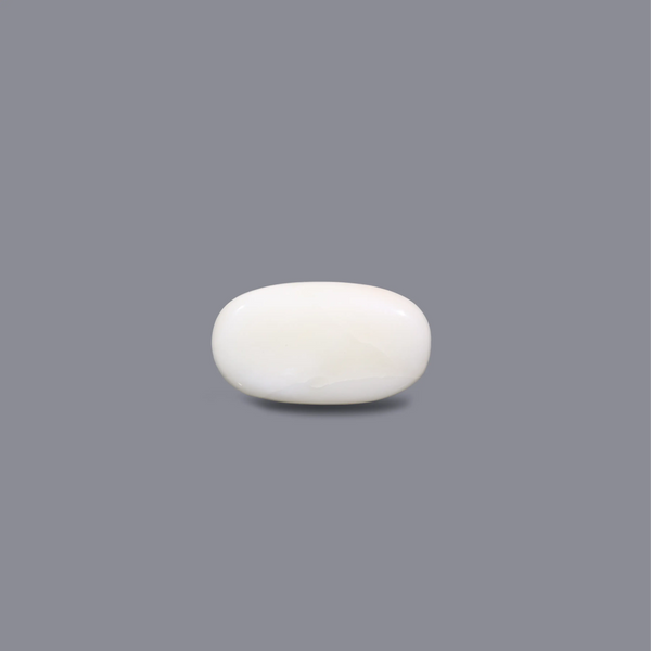 White Coral - 3.6 Carat