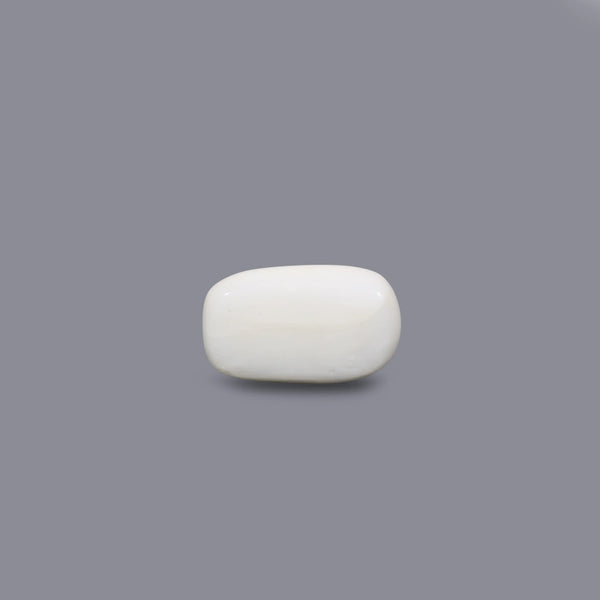 White Coral - 3.85 Carat