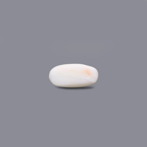 White Coral - 3.8 Carat