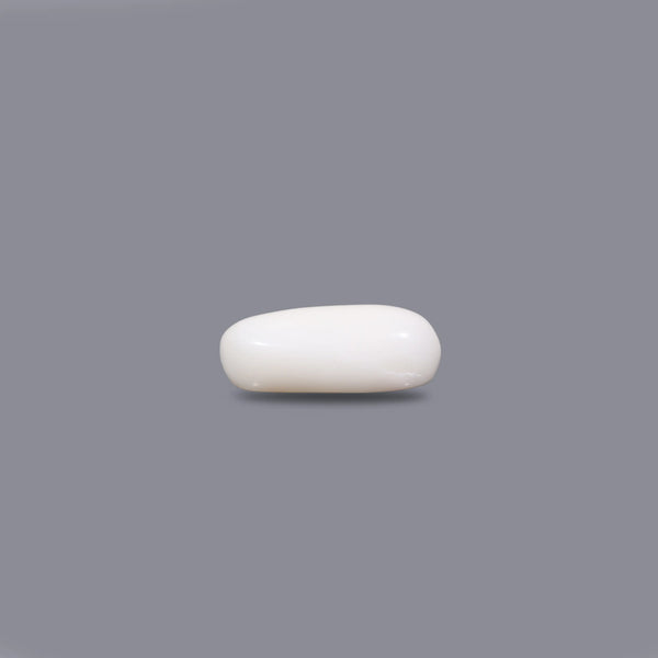 White Coral - 3.8 Carat