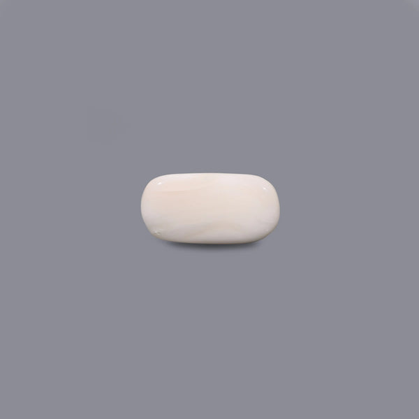 White Coral - 3.6 Carat