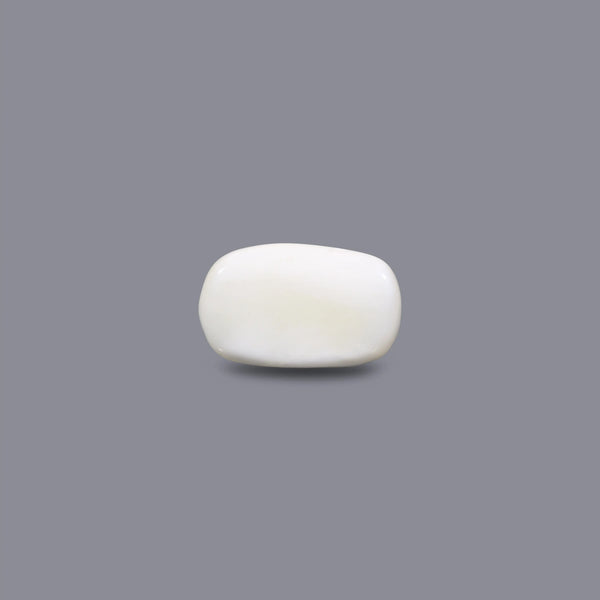 White Coral - 3.9 Carat