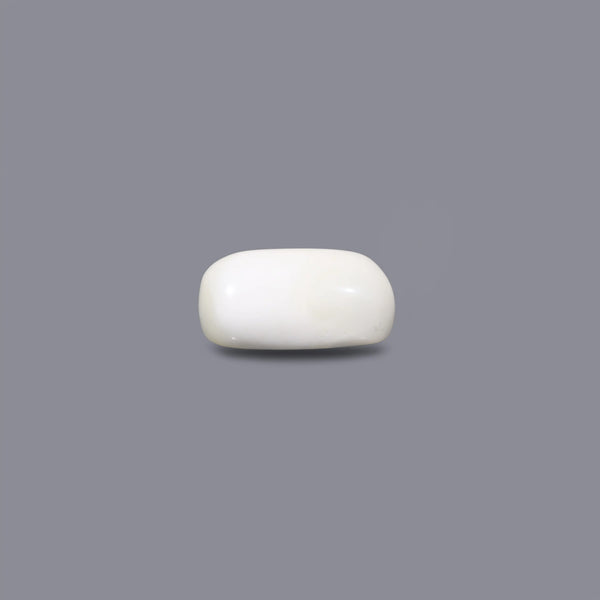 White Coral - 3.9 Carat
