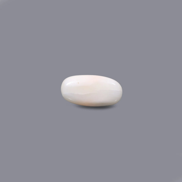 White Coral - 3.9 Carat